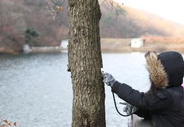 [인증] 나무의사 되기