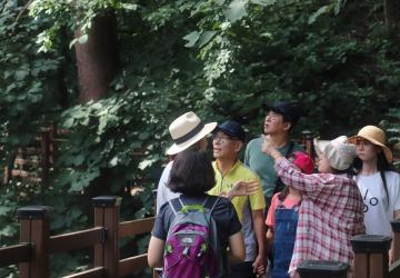 솔수풀 톡톡(talk talk) 패밀리