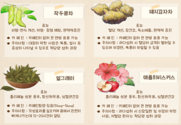 키트형 프로그램(차향에물든숲)