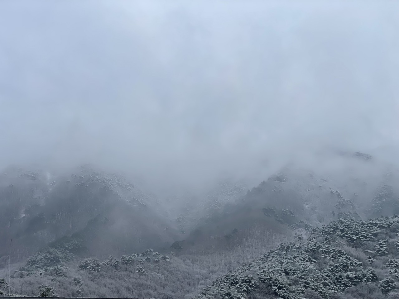 20 사진창고_사진_20240404_20.jpg