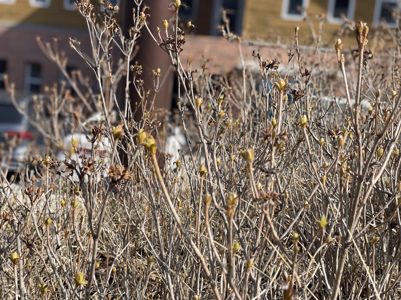 24 사진창고_사진_20240404_13.jpg