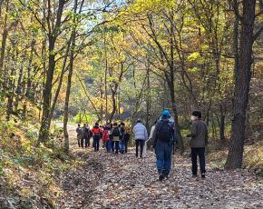 슬라이드이미지