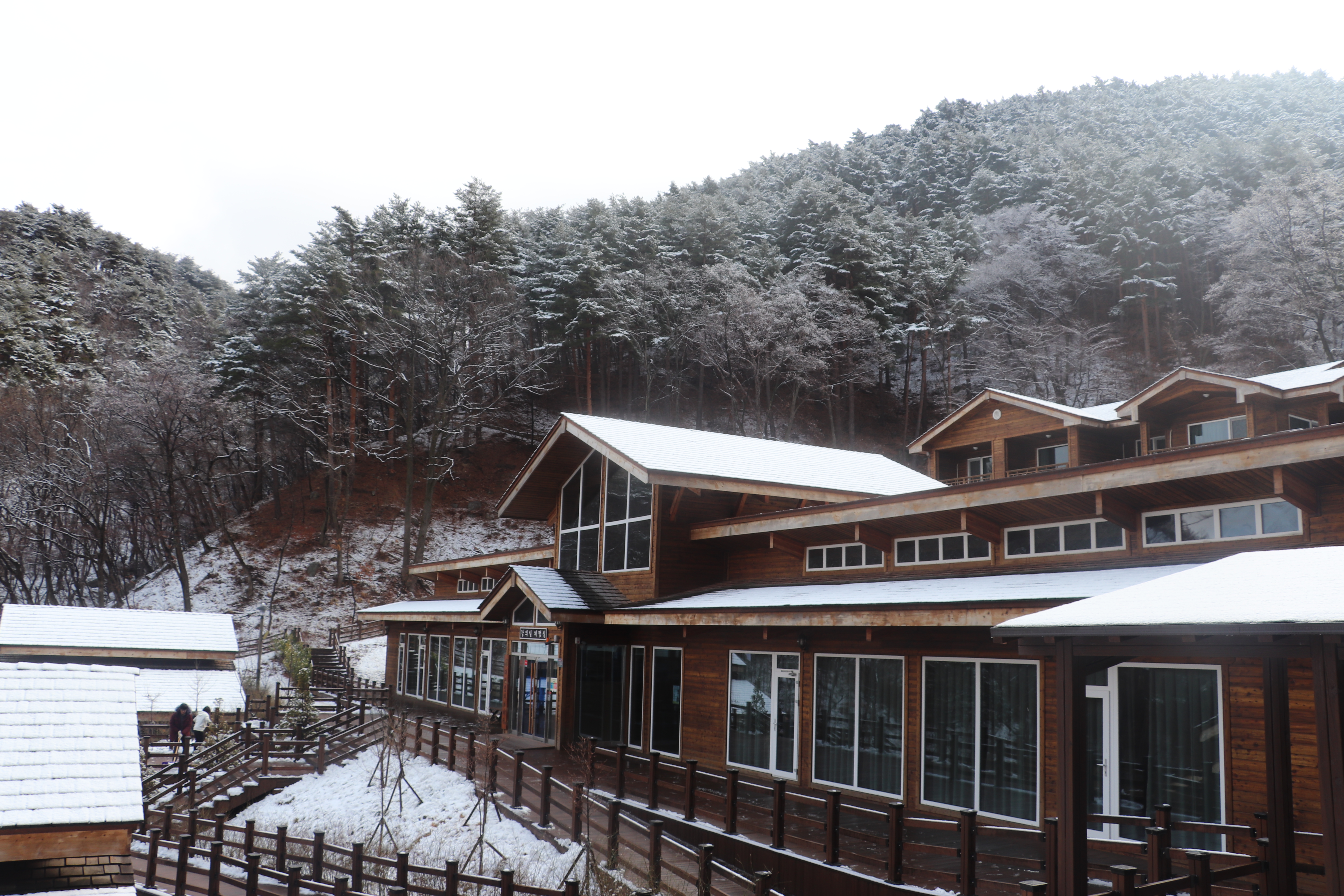 대관령 겨울 (8).JPG