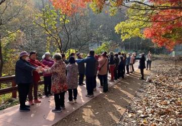 [숲휴식] 숲테라피