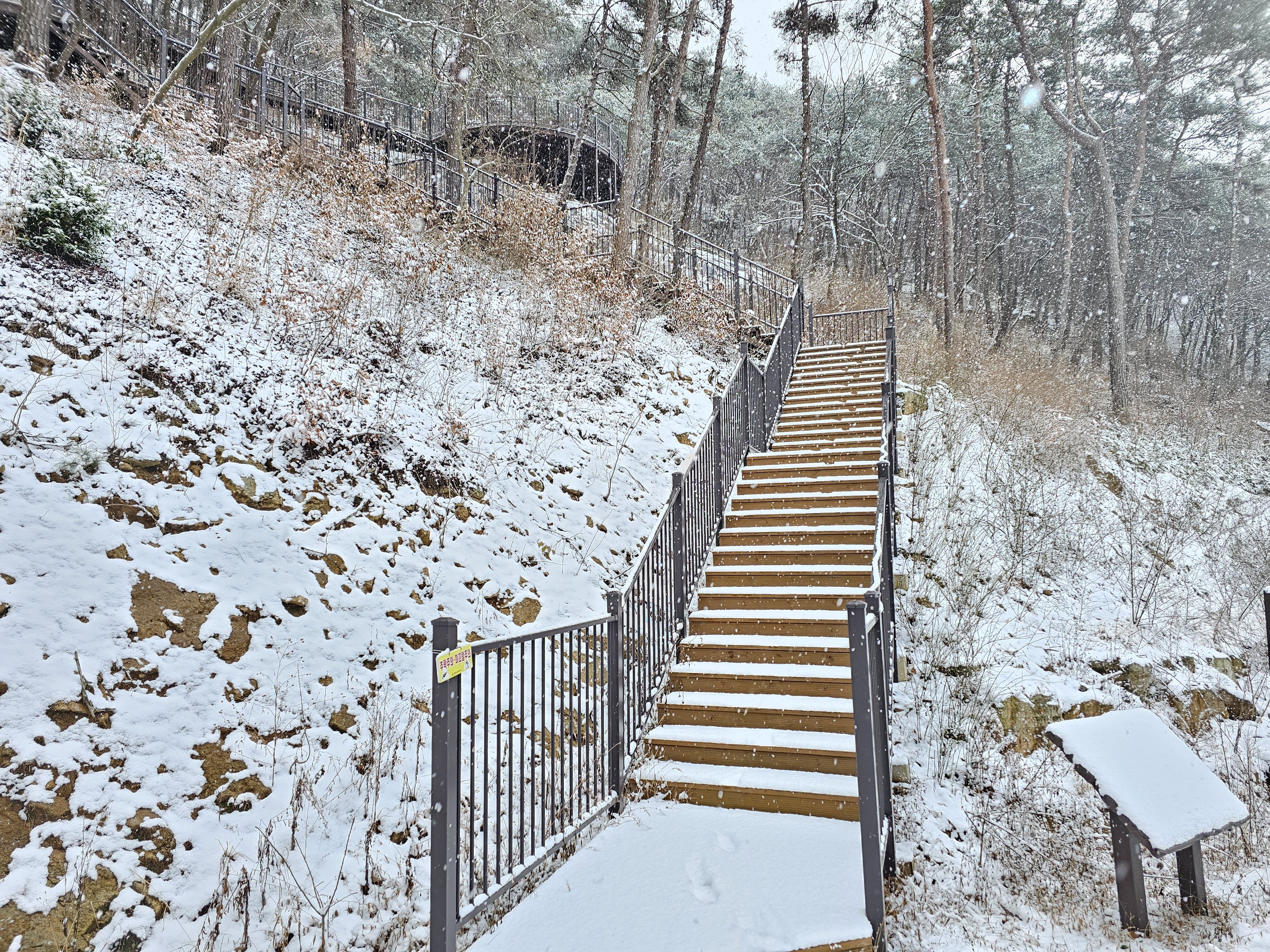 2025.1.7.(화) 나주숲체원 눈이 왔던 날 8.jpg