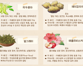 슬라이드이미지