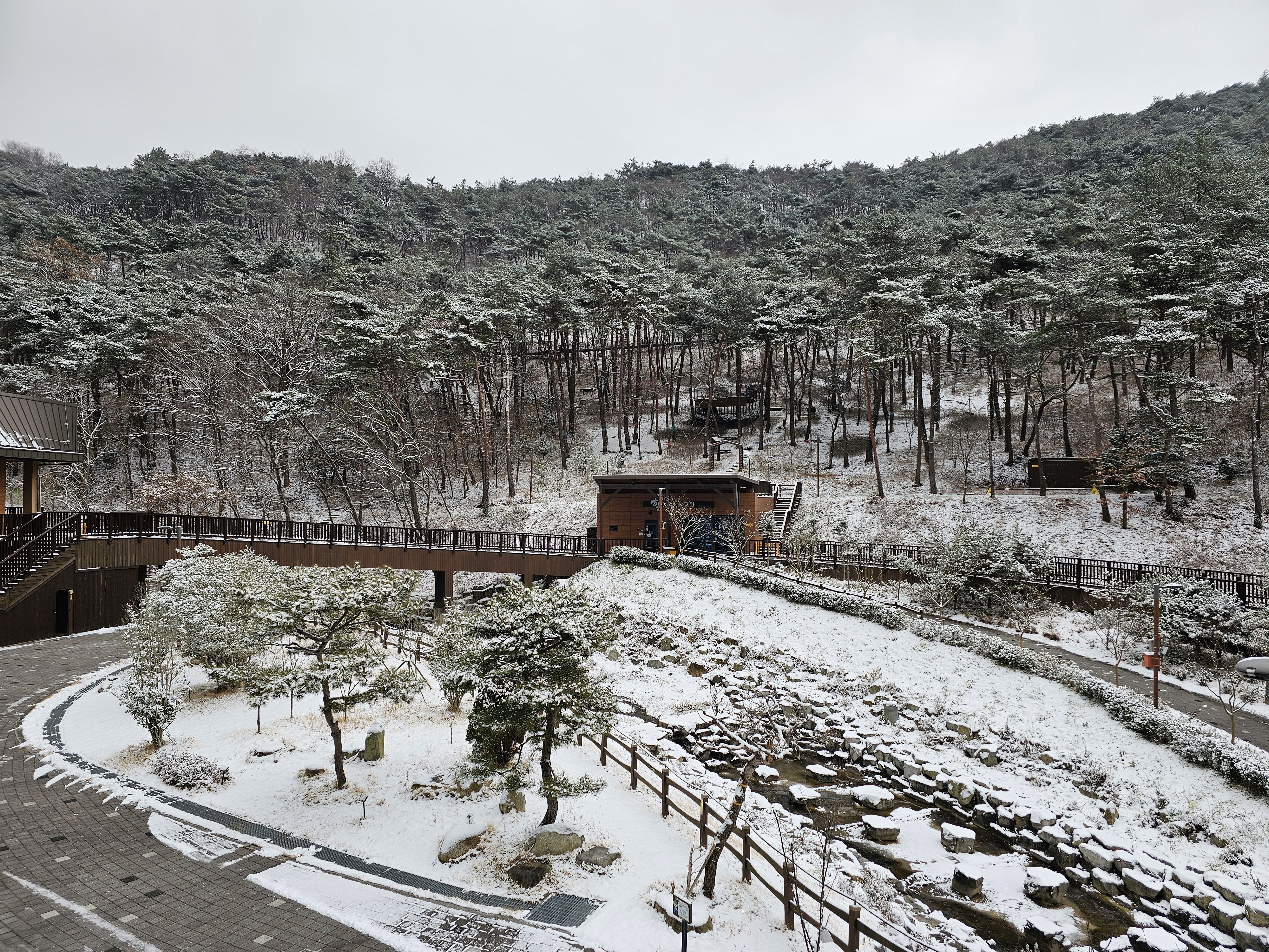 2025.1.7.(화) 나주숲체원 눈이 왔던 날 2.jpg