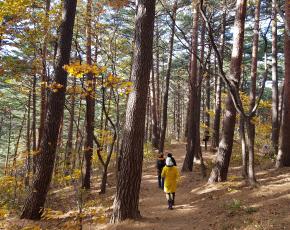 슬라이드이미지