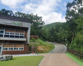 슬라이드이미지