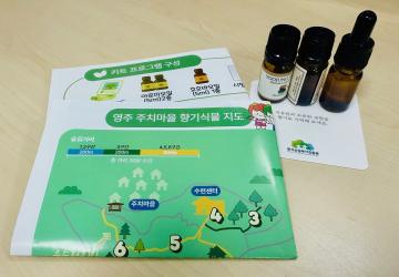(예천) 키트형산림복지프로그램키트(2종 中 택 1)