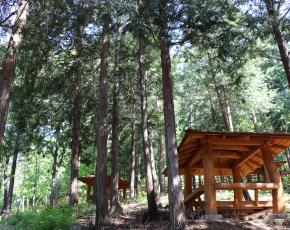 슬라이드이미지