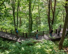 슬라이드이미지