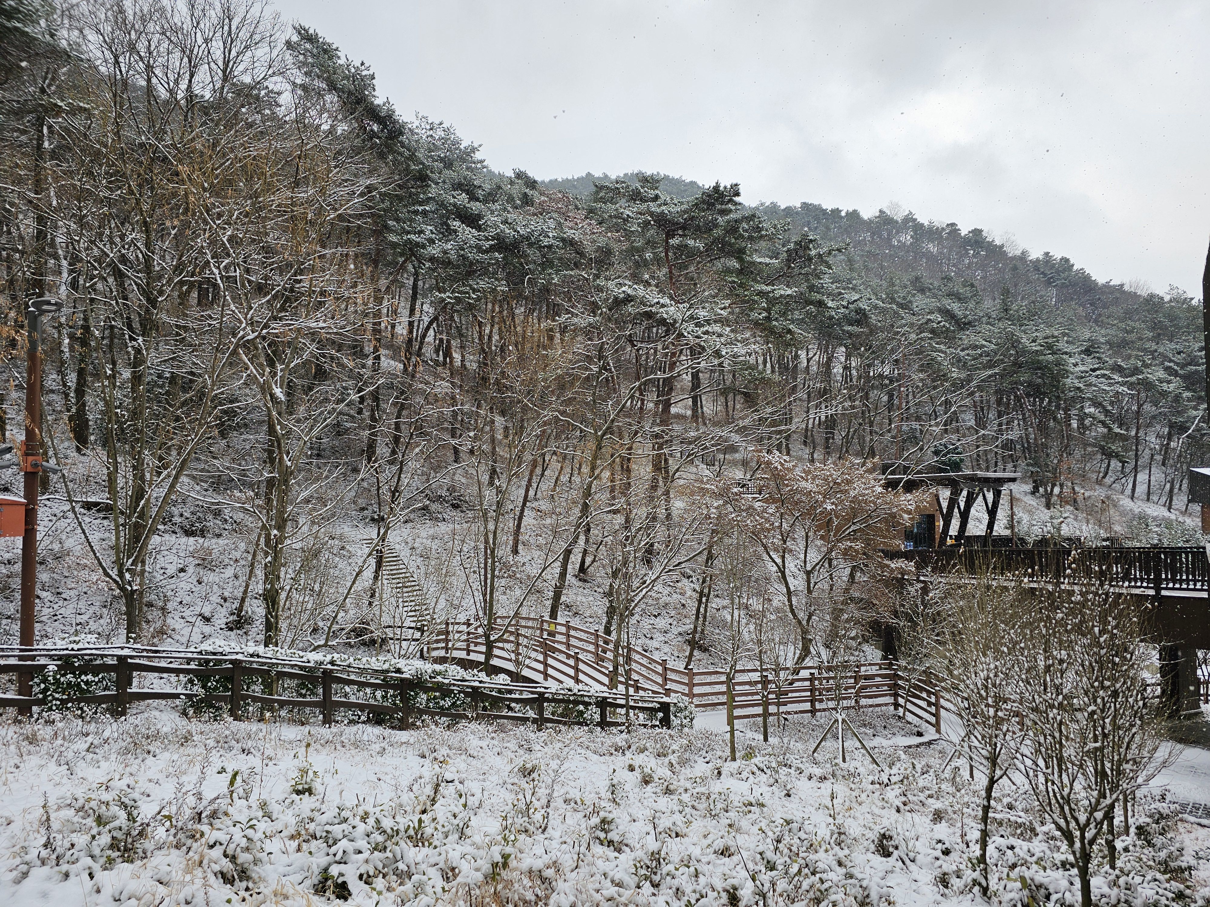 2025.1.7.(화) 나주숲체원 눈이 왔던 날 5.jpg