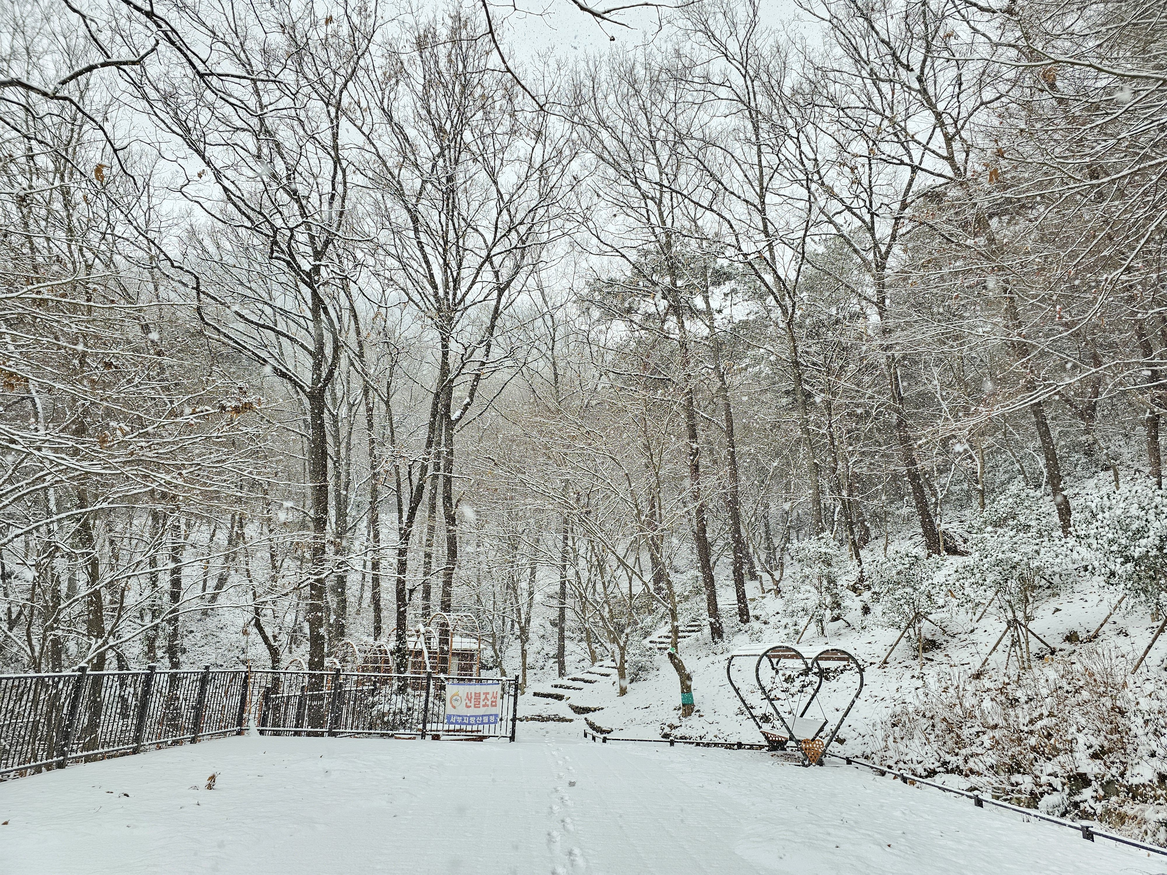 2025.1.7.(화) 나주숲체원 눈이 왔던 날 7.jpg