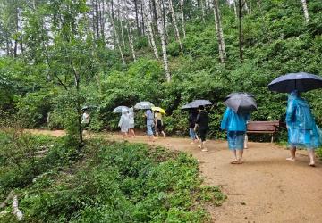 (치유)숲이 주는 선물