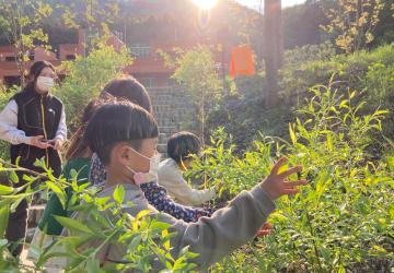 (체험형)함께하는 숲 이야기(1시간)
