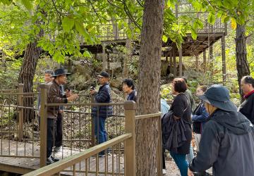 산림욕·숲해설