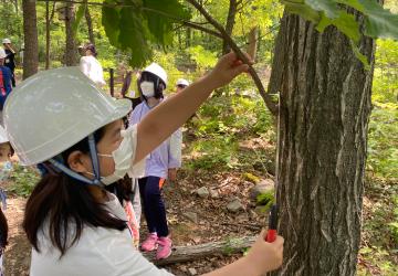 [인증] 나무의사 되기