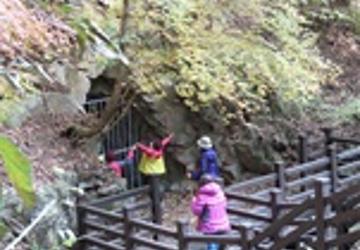 황금찾는 숲여행(1시간)