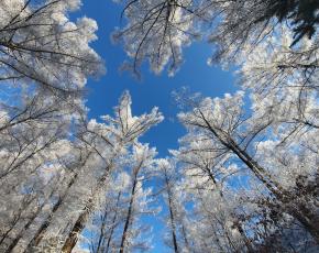 슬라이드이미지