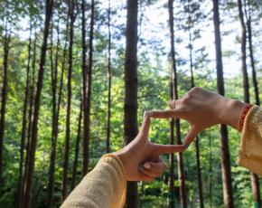 슬라이드이미지