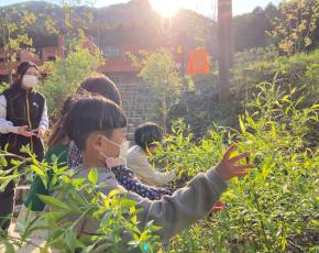 슬라이드이미지