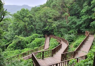 (예천_11월-4주) 숲산책