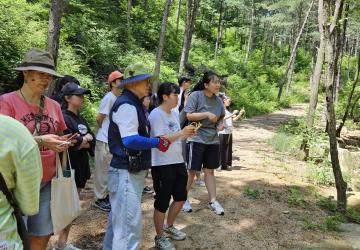 나무는 탄소통조림