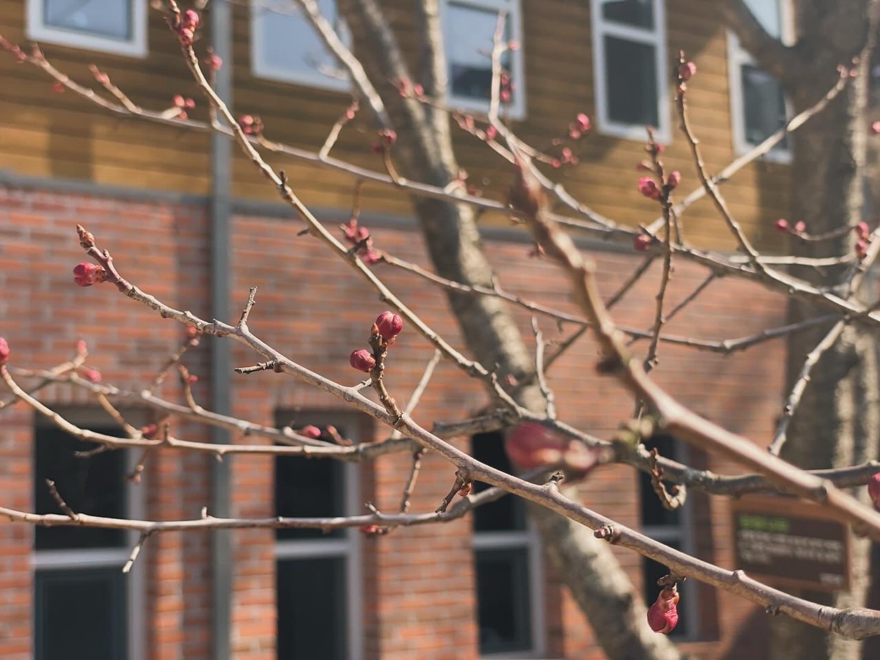 25 사진창고_사진_20240404_8.jpg