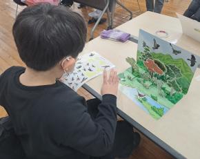 (실외) 새(鳥)로운 여행 이미지