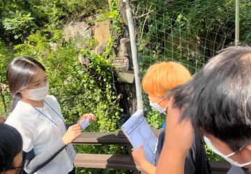 숲 속 보물찾기