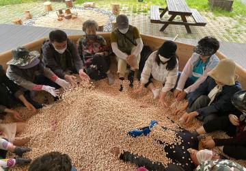 편백향기 테라피(1시간)