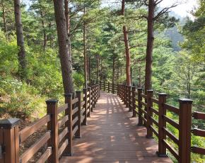 슬라이드이미지