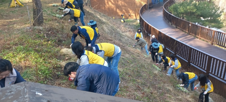 붙임. 2025년 제80회 식목일 행사 및 환경정화 활동 4.png