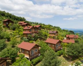 슬라이드이미지