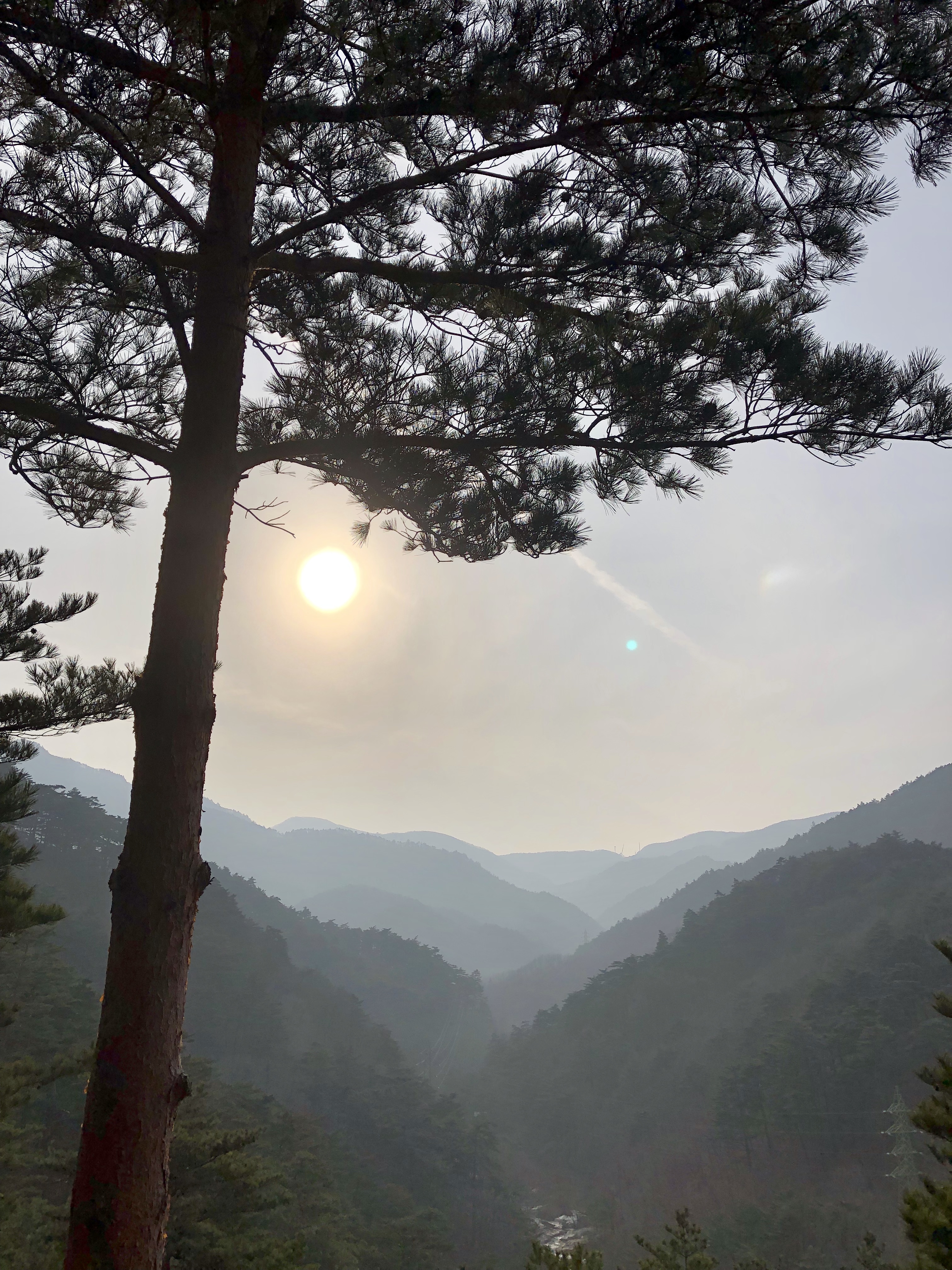 대관령 겨울 (6).jpg