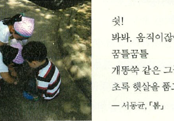 (26년 영주) 디카시(詩) 체험