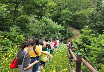 오감힐링숲산책