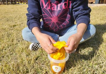 [산림문화] 숲 한 빛깔