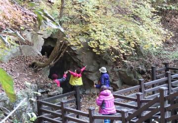 금광굴숲여행[고진금래] (2시간)