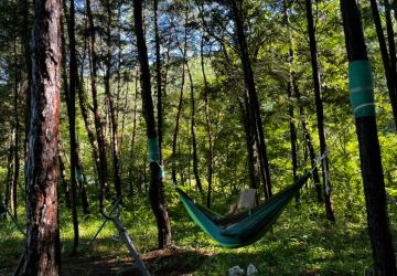 산림치유 프로그램