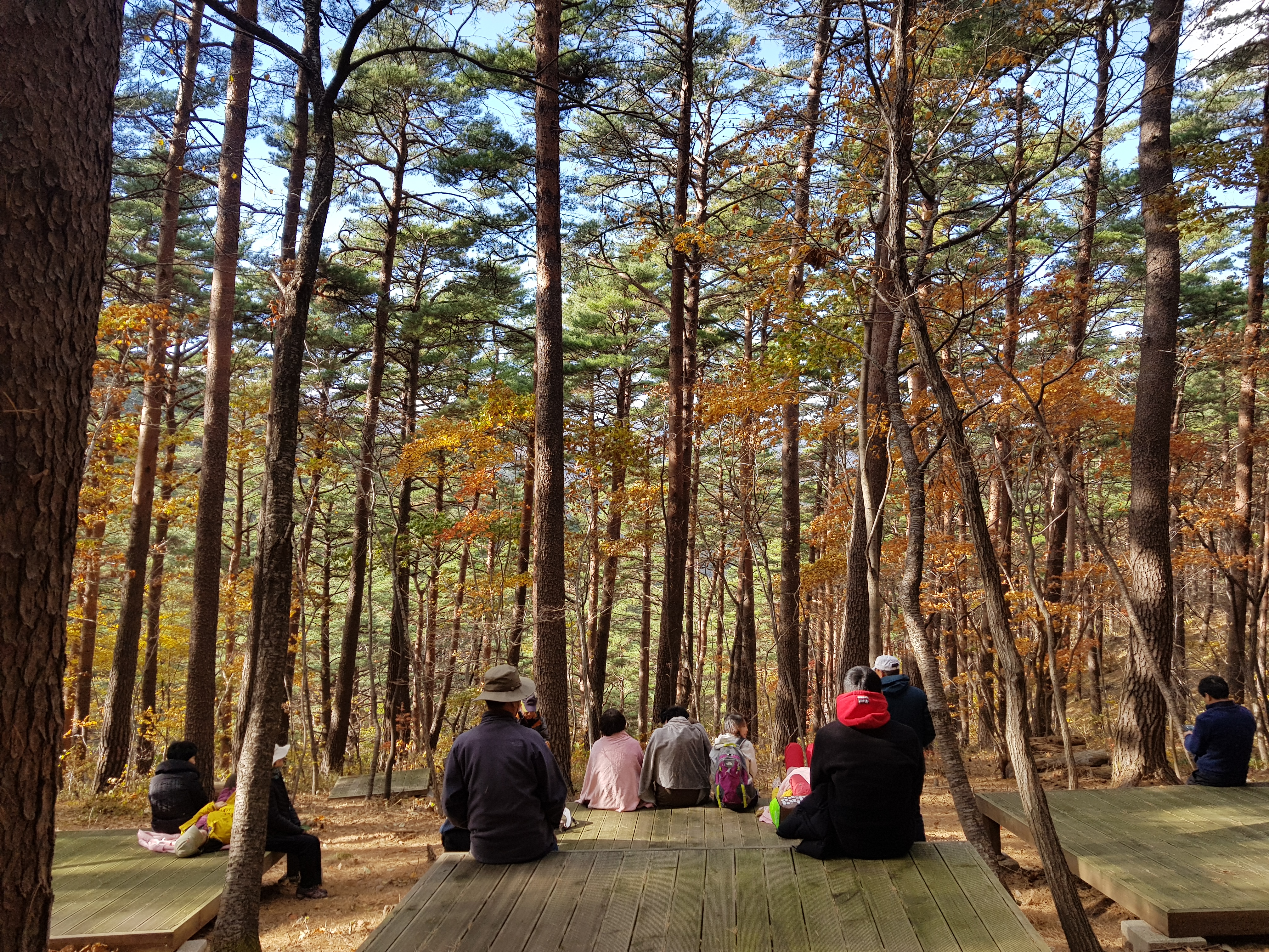 대관령 가을 (1).jpg