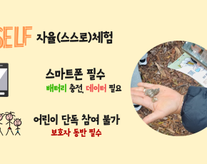 슬라이드이미지