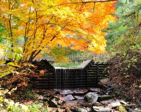 슬라이드이미지