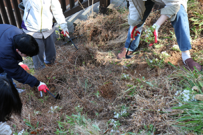 붙임. 2025년 제80회 식목일 행사 및 환경정화 활동 3.png