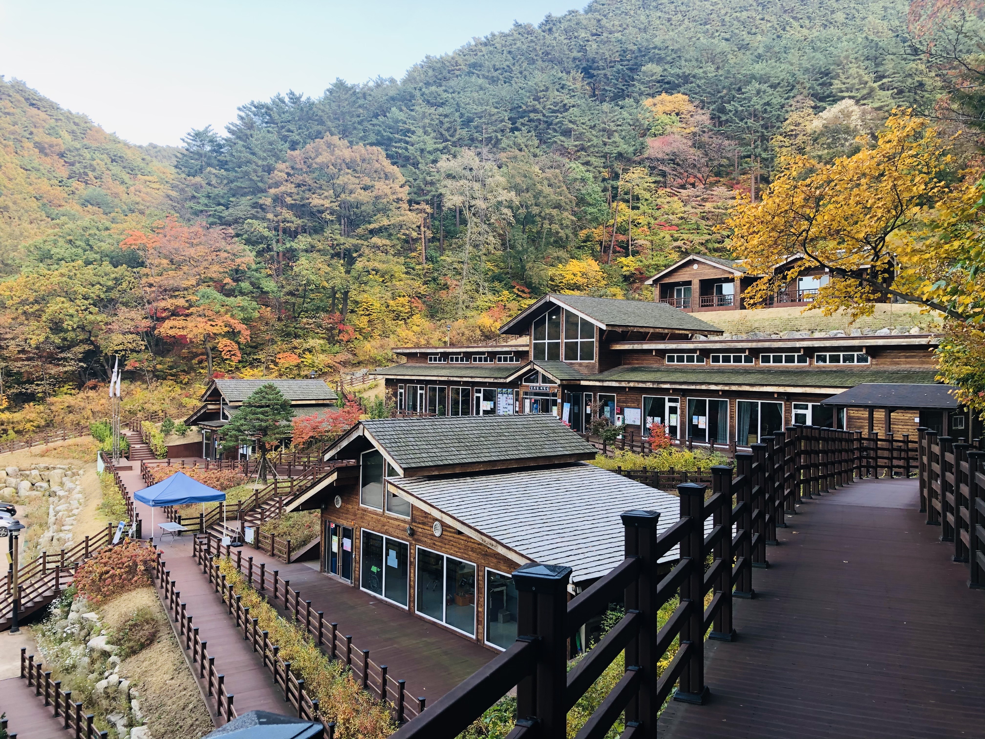 대관령 가을 (5).jpg