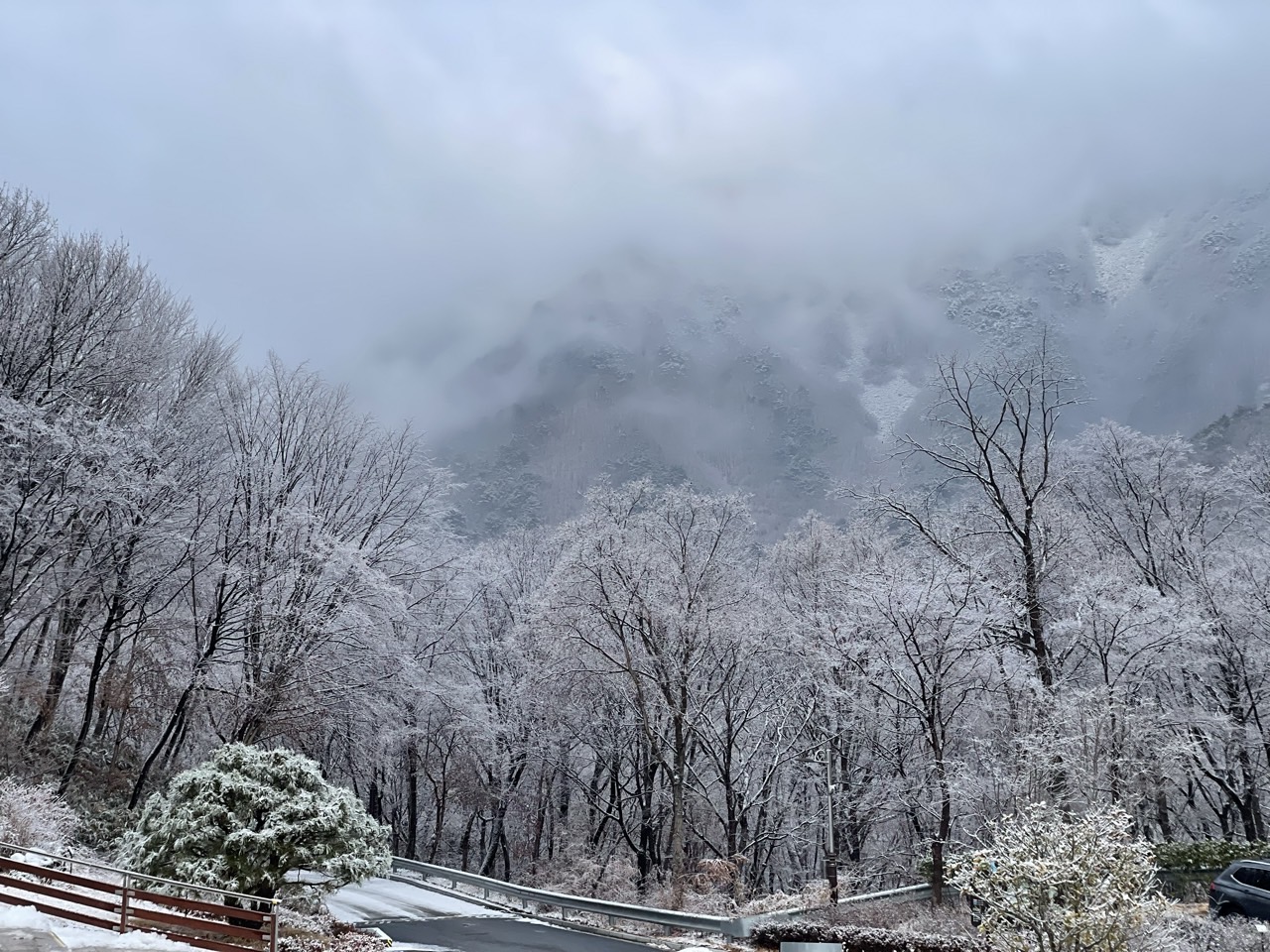 18 사진창고_사진_20240404_19.jpg