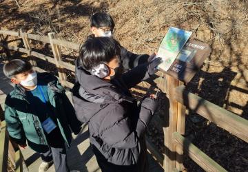 오리엔티어링(단체)n