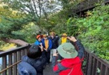 푸른 숲 지킴이 'Forest Go'