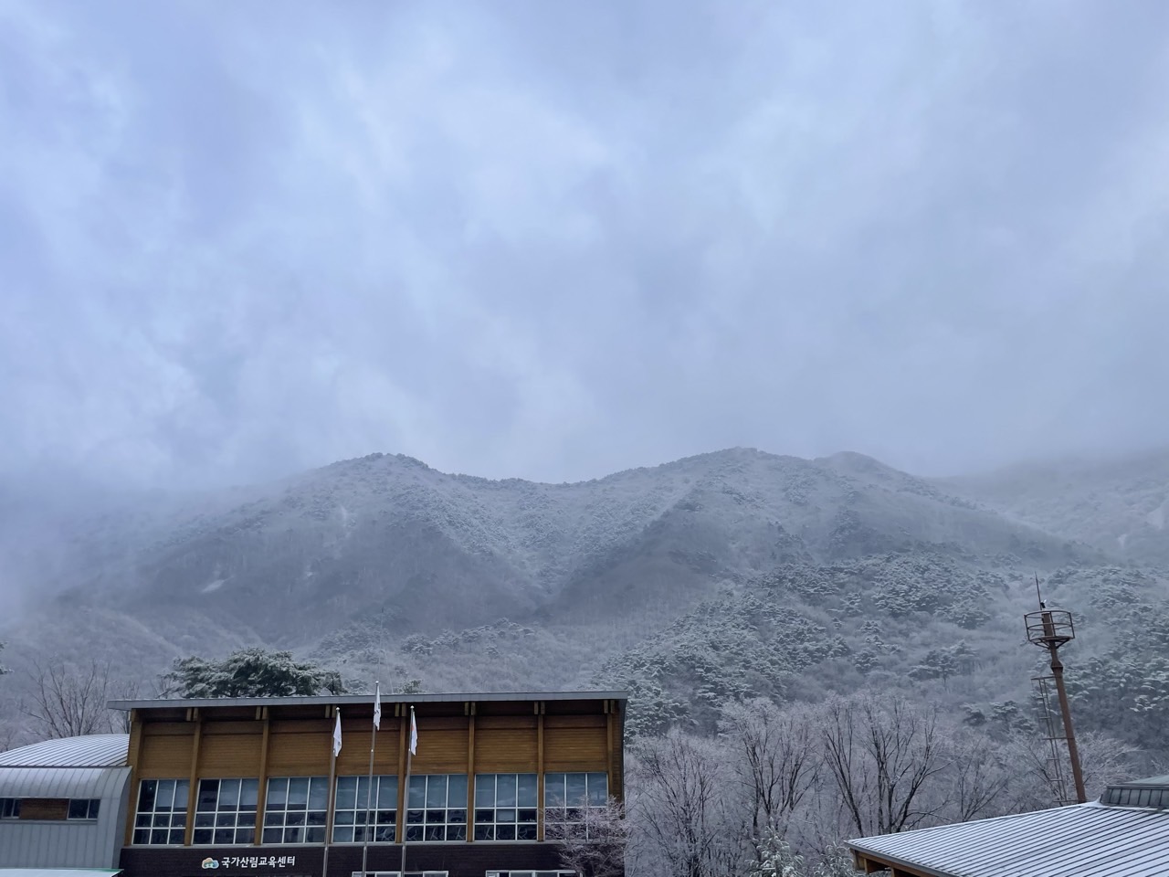 19 사진창고_사진_20240404_22.jpg